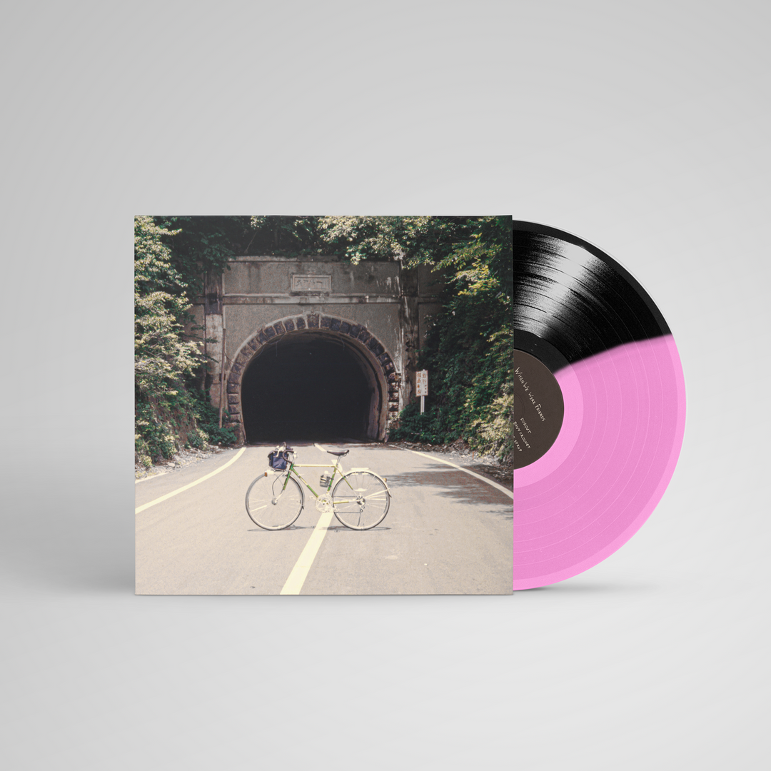 Backseat Lovers - When We Were Friends (Hot Pink/ Black Split Vinyl)