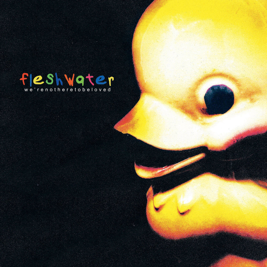 Fleshwater - We're Not Here To Be Loved (Vinyl)